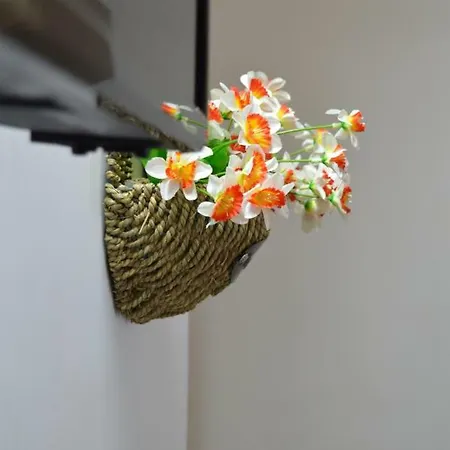 Al Fico D'india 別荘